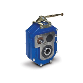 Imagen para la categoría Reductores y Motorreductores Pendulares