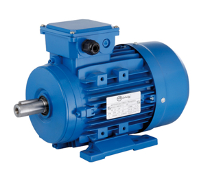 Imagen para la categoría Motores eléctricos Trifásicos