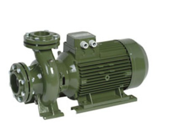 Imagen de Electrobombas Centrífugas Monoblock Normalizadas (EN 733) SAER IR65-200NA