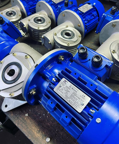 Imagen de Reductor R1 1/20 DiNinno