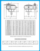 Imagen de Reductor Combinado FD100V205 DiNinno